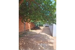 https://img.olx.com.br/thumbs256x256/20/206555523477938.jpg