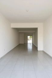 https://img.olx.com.br/thumbs256x256/20/206572270592814.jpg