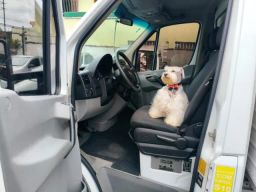 https://img.olx.com.br/thumbs256x256/20/206581934895483.jpg