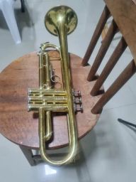 https://img.olx.com.br/thumbs256x256/20/207488640235676.jpg