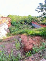 https://img.olx.com.br/thumbs256x256/20/207544878153462.jpg