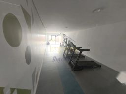 https://img.olx.com.br/thumbs256x256/20/207699812388294.jpg