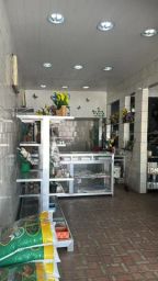https://img.olx.com.br/thumbs256x256/20/209406396683455.jpg