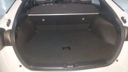 https://img.olx.com.br/thumbs256x256/20/209553484439860.jpg