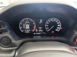 https://img.olx.com.br/thumbs256x256/20/209608185255659.jpg