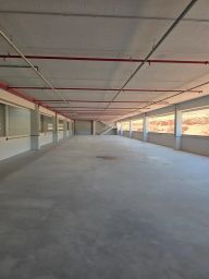 https://img.olx.com.br/thumbs256x256/20/209634546245079.jpg
