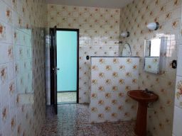 https://img.olx.com.br/thumbs256x256/21/210576502051245.jpg