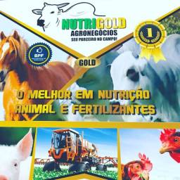 Título do anúncio: Nutrigold agronegocios LTDA.