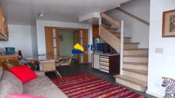 https://img.olx.com.br/thumbs256x256/21/211556515033617.jpg
