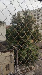 https://img.olx.com.br/thumbs256x256/21/212511521289076.jpg