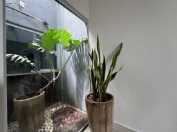 https://img.olx.com.br/thumbs256x256/21/213507737708469.jpg