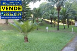 https://img.olx.com.br/thumbs256x256/21/214509285028512.jpg
