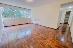 https://img.olx.com.br/thumbs256x256/21/214532049618513.jpg