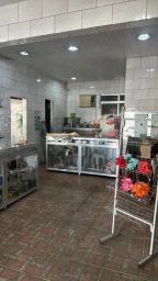 https://img.olx.com.br/thumbs256x256/21/216429753274079.jpg