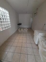 https://img.olx.com.br/thumbs256x256/21/216500507916394.jpg