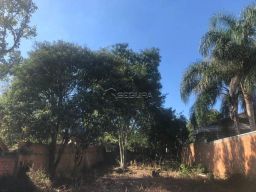 https://img.olx.com.br/thumbs256x256/21/216553517198058.jpg