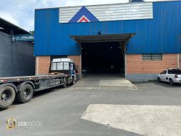 https://img.olx.com.br/thumbs256x256/21/216592756382555.jpg