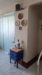 https://img.olx.com.br/thumbs256x256/21/216673399131538.jpg