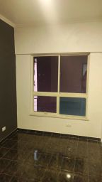 https://img.olx.com.br/thumbs256x256/21/217565521307126.jpg
