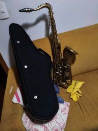 https://img.olx.com.br/thumbs256x256/21/217589405113929.jpg