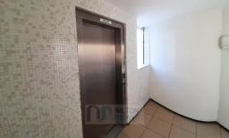 https://img.olx.com.br/thumbs256x256/21/217628089632148.jpg