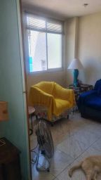 https://img.olx.com.br/thumbs256x256/21/217690156169339.jpg