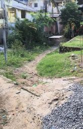 https://img.olx.com.br/thumbs256x256/21/218566279853038.jpg
