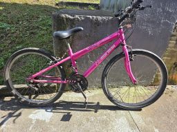 https://img.olx.com.br/thumbs256x256/21/218567769356448.jpg