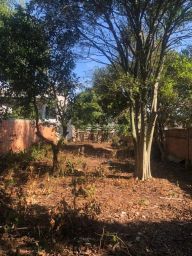 https://img.olx.com.br/thumbs256x256/21/219568638855845.jpg