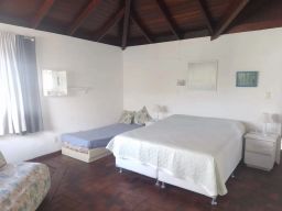 https://img.olx.com.br/thumbs256x256/21/219586637622630.jpg