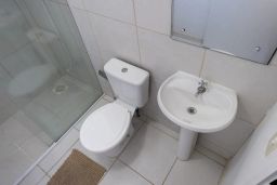 https://img.olx.com.br/thumbs256x256/22/220512529001688.jpg