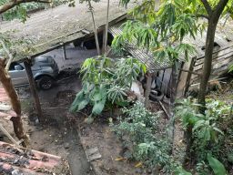 https://img.olx.com.br/thumbs256x256/22/220561031873752.jpg