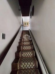 https://img.olx.com.br/thumbs256x256/22/220568401904663.jpg