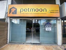 https://img.olx.com.br/thumbs256x256/22/222230199383643.jpg