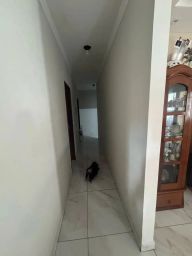 https://img.olx.com.br/thumbs256x256/22/222526877761328.jpg