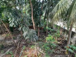 https://img.olx.com.br/thumbs256x256/22/222559395137639.jpg