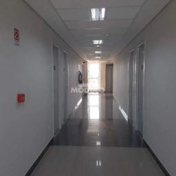 https://img.olx.com.br/thumbs256x256/22/222576760116974.jpg
