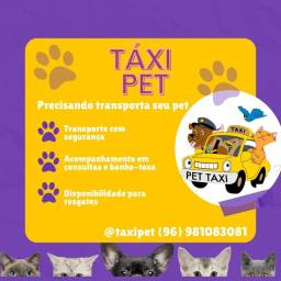 Título do anúncio: Taxi Pet
