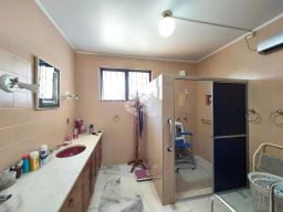 https://img.olx.com.br/thumbs256x256/22/223552889972439.jpg