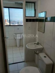 https://img.olx.com.br/thumbs256x256/22/224582039370029.jpg