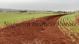 Título do anúncio: Fazenda com 99 alqueires, região de Avaré, terra vermelha (Nogueira Imóveis Rurais)