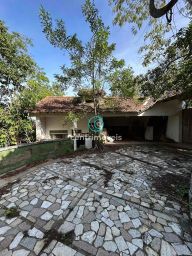 https://img.olx.com.br/thumbs256x256/22/225526643680745.jpg