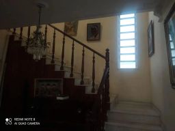 https://img.olx.com.br/thumbs256x256/22/225577394020470.jpg