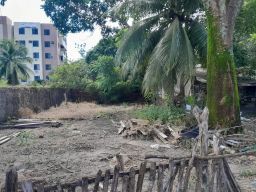 https://img.olx.com.br/thumbs256x256/22/225584273171743.jpg
