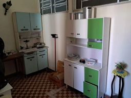 https://img.olx.com.br/thumbs256x256/22/225692675188236.jpg