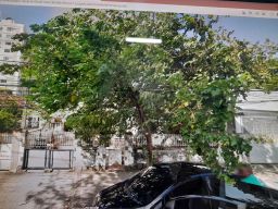 https://img.olx.com.br/thumbs256x256/22/226560025749071.jpg