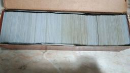 https://img.olx.com.br/thumbs256x256/22/227516406851939.jpg