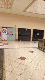 https://img.olx.com.br/thumbs256x256/22/227560627314661.jpg