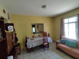 https://img.olx.com.br/thumbs256x256/22/228510878229344.jpg