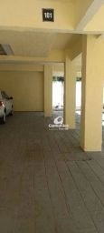 https://img.olx.com.br/thumbs256x256/22/228517752670438.jpg